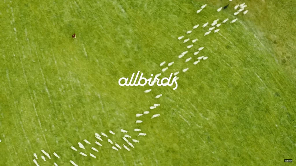 Around 50 sheep being chased by dog in a grass paddock.