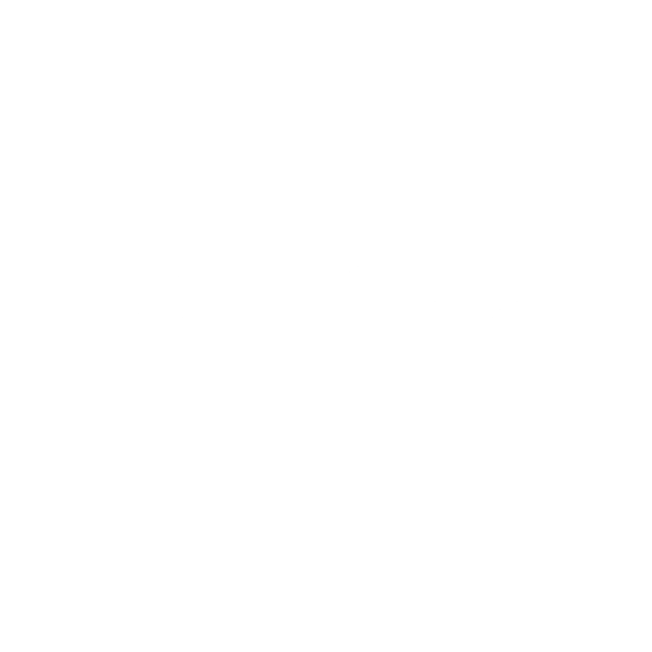 Nine Network logo.